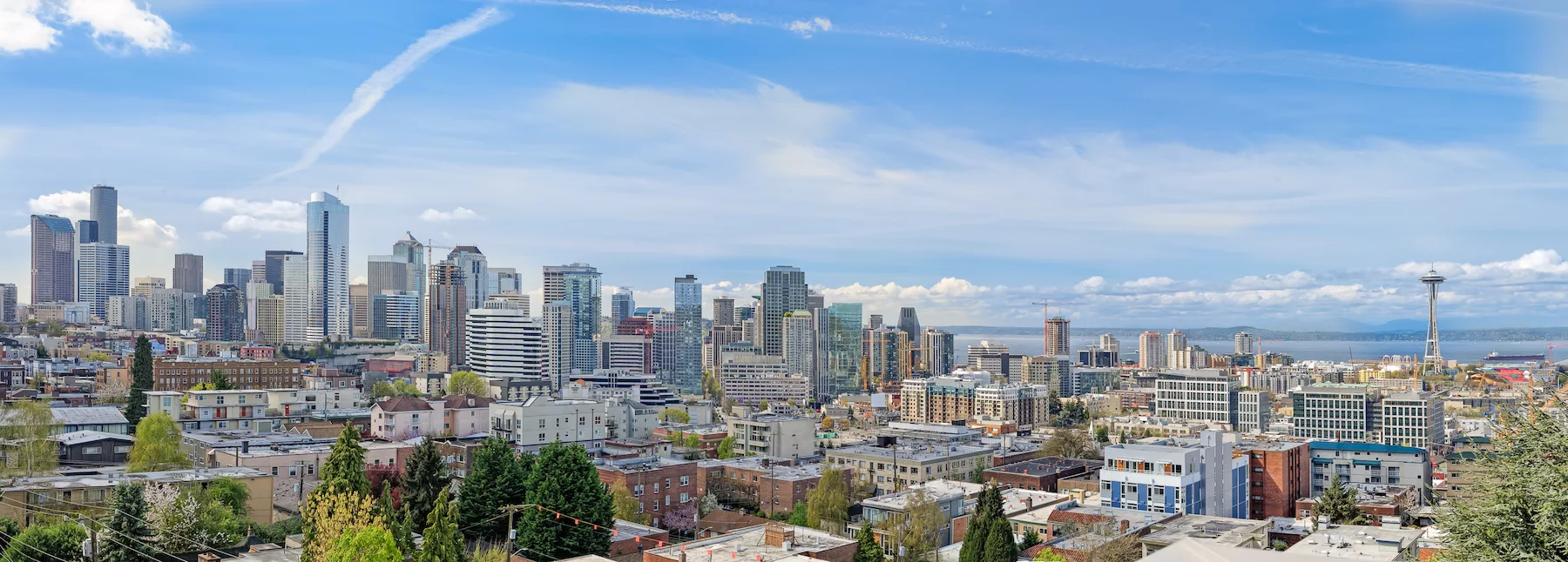 Cal Anderson Park Events, Markets, and Everyday Use